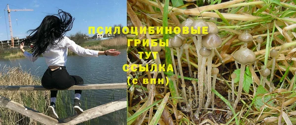 стаф Каменка