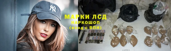 стаф Каменка