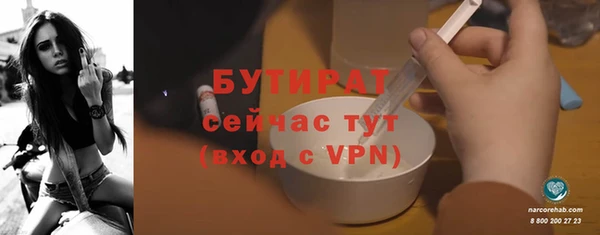 стаф Каменка