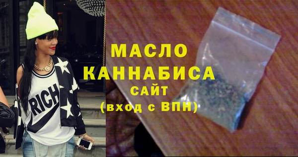 стаф Каменка