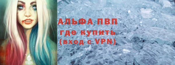 стаф Каменка