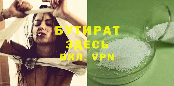 стаф Каменка